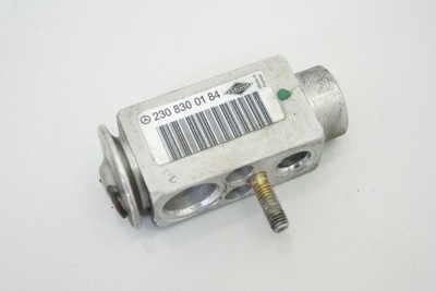 VALVE EXPANSION MERCEDES SL R230 01-06 - milautoparts-fr.ukrlive.com