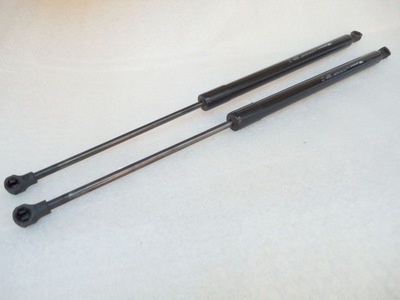 Renault scenic iii амортизатор кришки фото №1