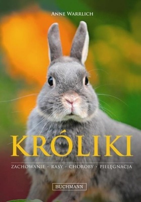 KRÓLIKI Anna Warrlich