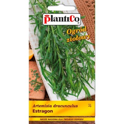 ESTRAGON -bylina ZIOŁOWY OGRÓD plantico