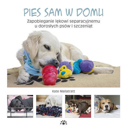 Pies sam w domu. Zapobieganie lękowi... Vesper