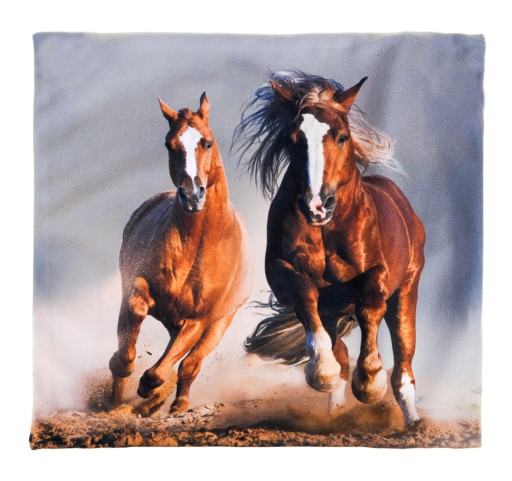 MX PILLOW 01 ​​LONDYM ФЛАГ ПАЛЬТО JASIEK 40X40