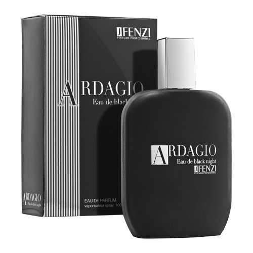 JFenzi ARDAGIO EAU DE BLACK NIGHT MEN 100 мл edp