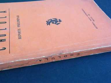 ПРЕДВАРИТЕЛЬНЫЙ ОТЧЕТ ЧОЛУЛЫ, МЕКСИКА, 1967 Г.