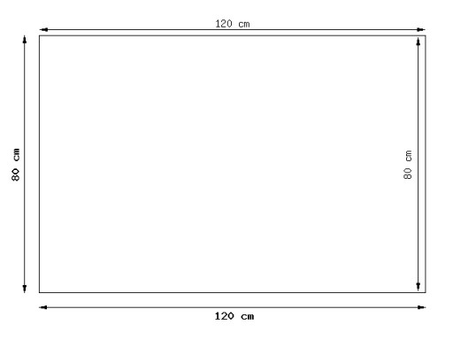 Настенная картина Животные Сибирский хаски 120х80