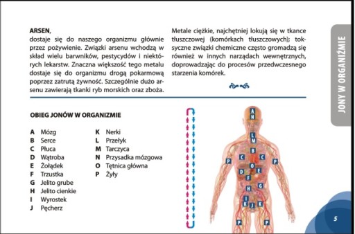 Детокс тела Очищение тела Чаша для очищения организма Gateway Detox