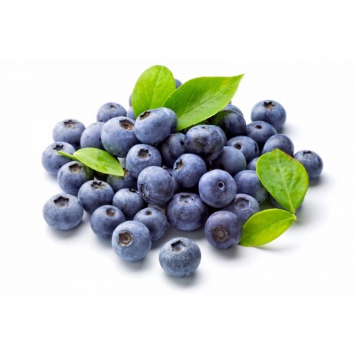 NAWÓZ DO BORÓWEK JAGÓD MALIN JAGODY KAMCZACKIE ORGANICZNY 1KG AGRECOL BIO