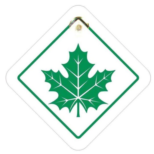 Эмблема GREEN LEAF STICKER на присоске