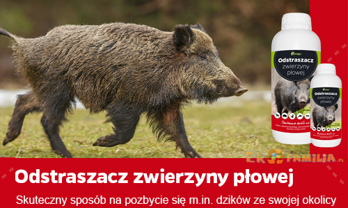 Odstraszacz zwierzyny na dziki kuny lisy 1L