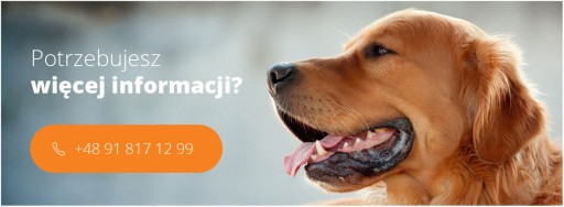 МИНИ-Микрочип для собак и кошек + ПРОГРАММА ДЛЯ ЗАВОДЧИКОВ