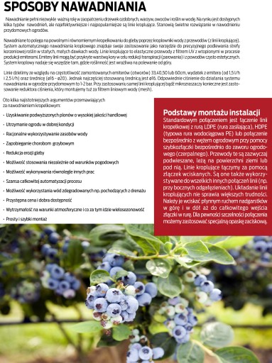 KROPLOSPŁYW Pojedynczy 100szt NAWADNIANIE ZESTAW