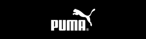 PUMA BUTY BMW MMS DRIFT CAT 8 33993401 R 43