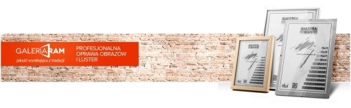 ANTYFRAME PLEXI B1 70x100 100x70 см РАМКА ДЛЯ ПОСТЕРА