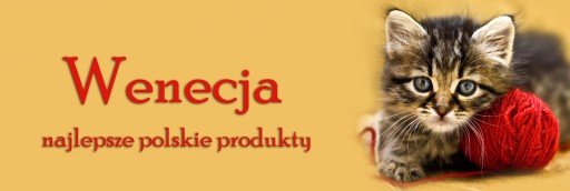 БОЛЬШАЯ СУМКА А4 КАТ 7 ДЛЯ ДЕТСКОЙ И ЮНОШЕСКОЙ ШКОЛЫ