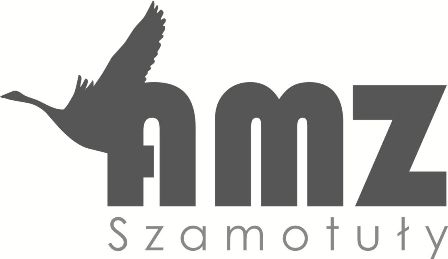 AMZ DREAM Пуховая подушка 90% 500г 50х70