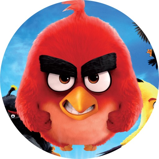 ТОРТ ТОРТ Angry Birds Птасиоры 20см круг