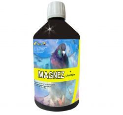 ELITA Magnez + L-karnityna 500ml