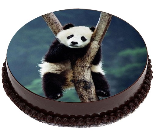 OPŁATEK NA TORT Panda Miś Koala Misie Pandy 20cm