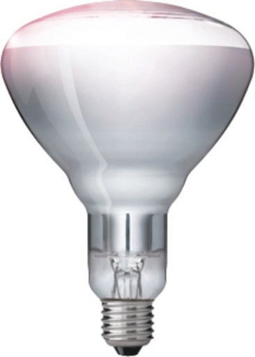 Żarówka Philips E27 250W 230V Infrared IR250CHR125