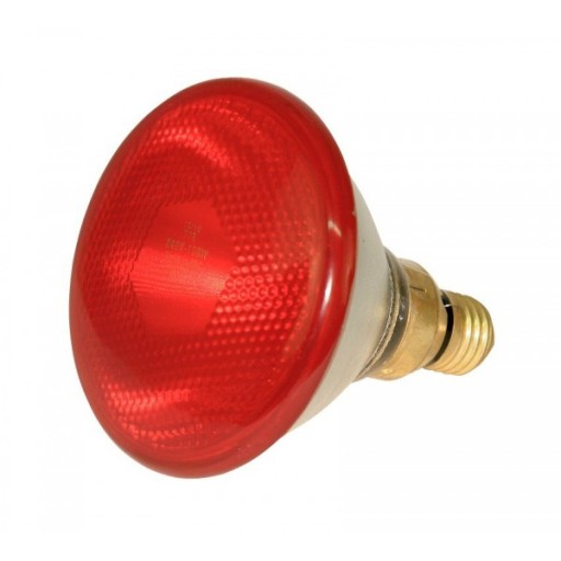 Sálavá vykurovacia lampa červená 175W žiarovka kwoka
