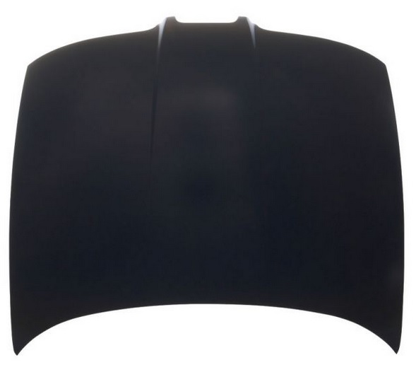 HOOD COVERING ENGINE SEAT LEON 1 TOLEDO 2 GRUNT photo 1 - milautoparts-fr.ukrlive.com