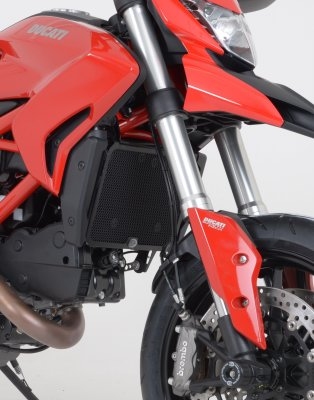 PROTECTION DE RADUATEUR DUCATI HYPERMOTARD/HYPERSTRADA photo 7 - milautoparts-fr.ukrlive.com