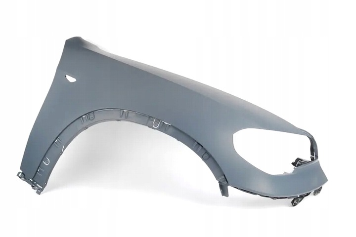 BMW X5 E70 10-, WING FRONT FRONT -SPR. RIGHT photo 1 - milautoparts-fr.ukrlive.com