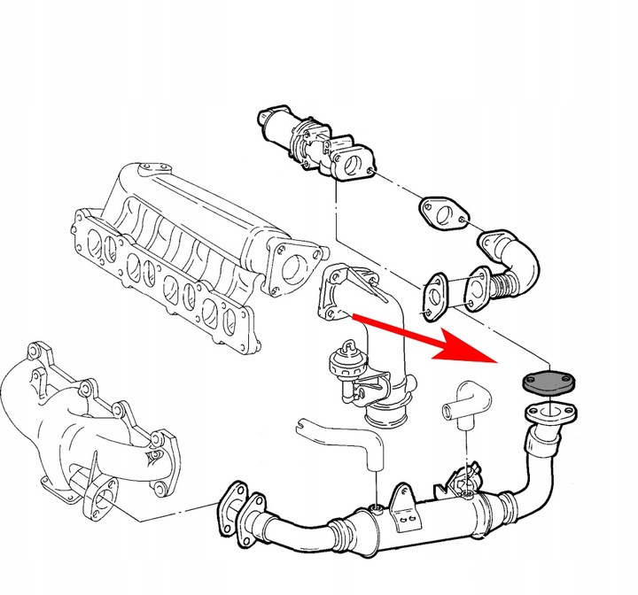 503 BLIND PLUG EGR FIAT ALFA LANCIA JTD 1.9 8V 2.4 photo 2 - milautoparts-fr.ukrlive.com