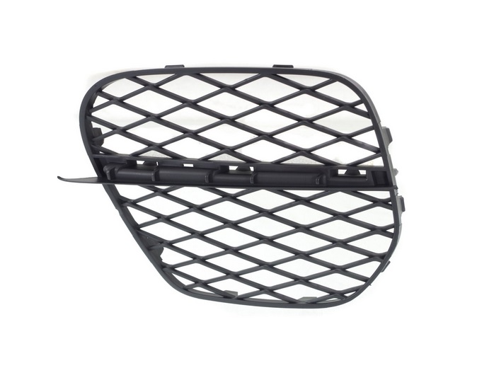 GRILLE DEFLECTOR IN BUMPER BMIN X5 E70 LEFT 10-13 photo 1 - milautoparts-fr.ukrlive.com