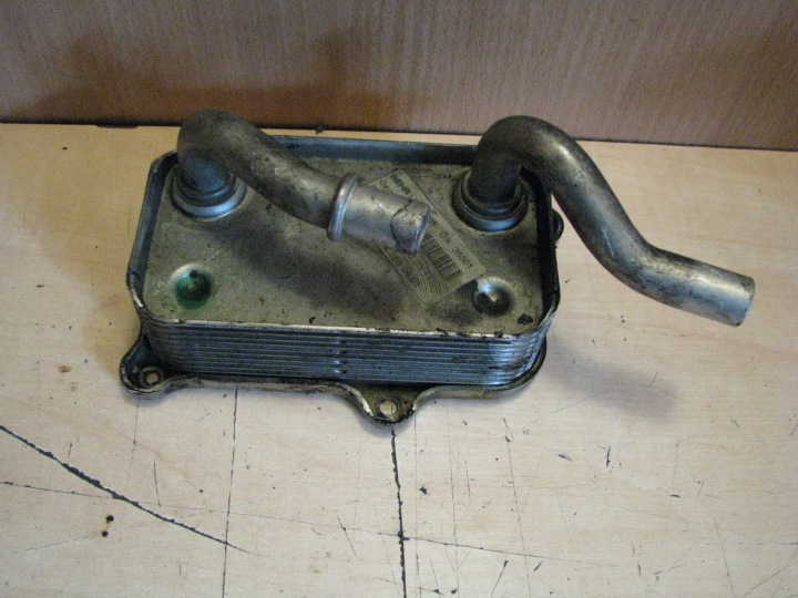 radiatore olio MERCEDES CL W215 5.0 V8