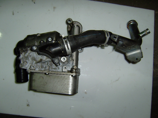 Купити Радіатор оливи 2.0 dci m9r renault