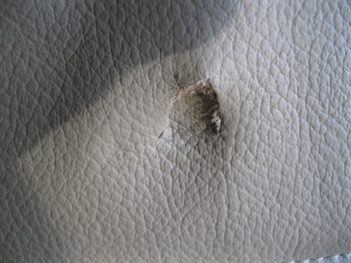 фото №6, Оббивка шкіра bmw x6 x-6 e71 e-71