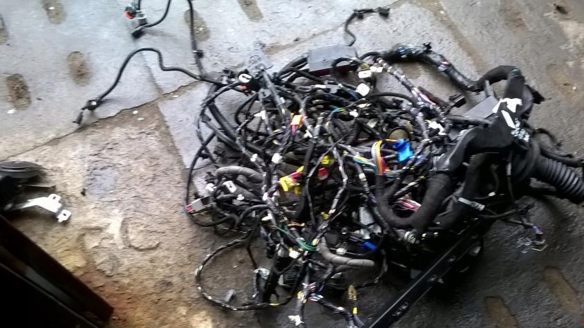 фото №1, Ford ecosport 2014 rok электропроводка dn1t-14a005-bc