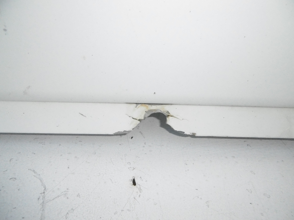 Капот решітка радіатора решітка радіатора кришка magnum e-tech dxi Оригінал