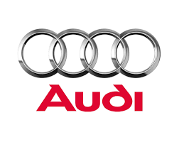 Амортизаторы подушки безопасности перед audi a3 8p octavia 2 Доставка